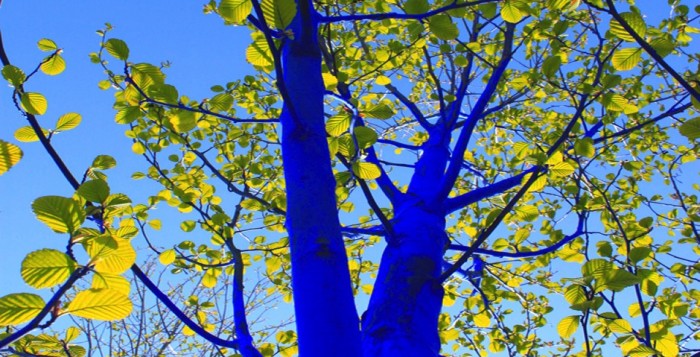 Blue-Trees-Volunteers-Houston-365-Things-Houston-Texas-Art-700x357